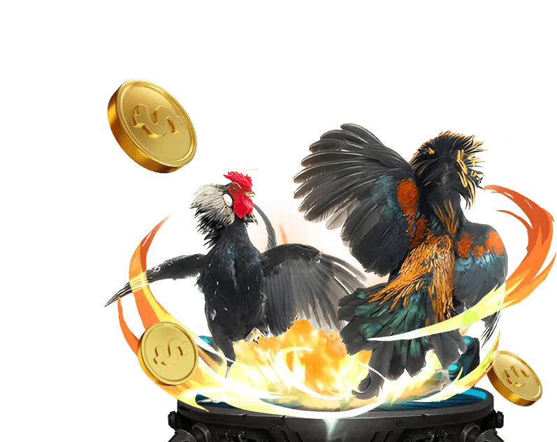 Cam kết công bằng XN88